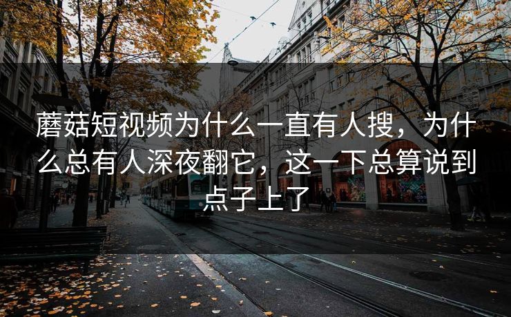 蘑菇短视频为什么一直有人搜,为什么总有人深夜翻它,这一下总算说到点子上了 蘑菇短视频为什么一直有人搜,为什么总有人深夜翻它,这一下总算说到点子上了